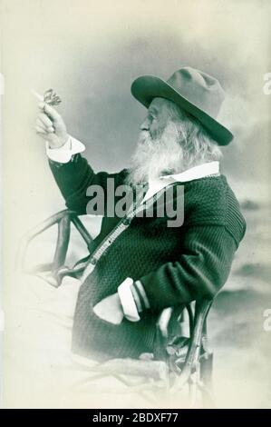 Walt Whitman, poeta americano Foto Stock