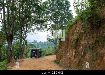 Tuk tuk mototaxi nella giungla dello Sri Lanka. Foto Stock