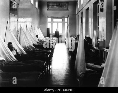 WWI, influenza spagnola Pandemic, 1918 Foto Stock