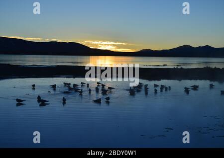 Alba nelle sorgenti termali Polques. Eduardo Avaroa Andean Fauna National Reserve, Bolivia Foto Stock