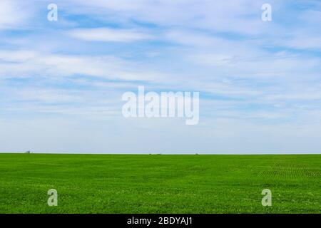 Paesaggio che si affaccia sul campo verde infinito in primavera Foto Stock