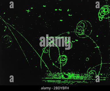 Reazione nucleare catalizzata nella camera di bolla Foto Stock