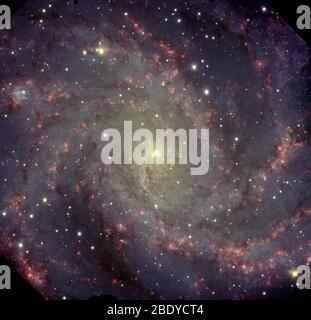 Fuochi d'artificio Galaxy, NGC 6946, Caldwell 12 Foto Stock