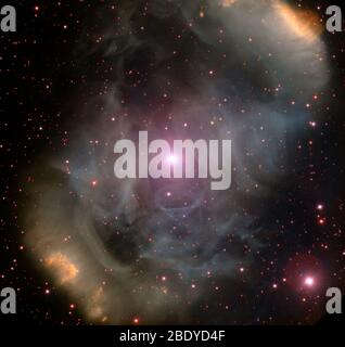 Emission Nebula, NGC 6164-5, HD 148397 Foto Stock