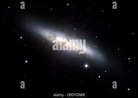 Cigar Galaxy, M82, NGC 3034 Foto Stock