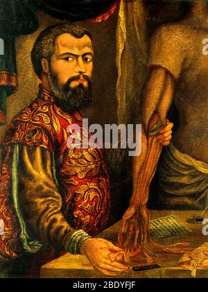 Andreas Vesalius, anatomista Fiammingo Foto Stock