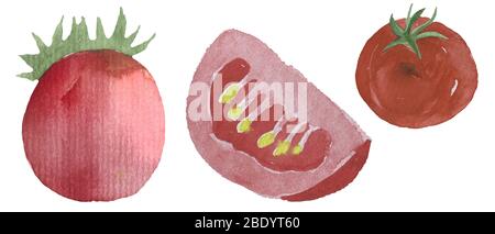 Collezione di verdure dipinte ad acquerello. Elementi di disegno di alimenti freschi disegnati a mano isolati sopra Foto Stock
