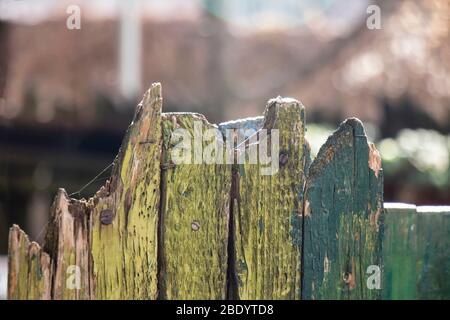 Particolare di recinto di legno arrugginito con verde spellatura Foto Stock