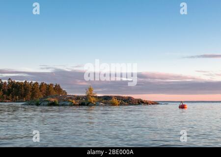 Piccolo isolotto popolato da uccelli nel lago Vänern in Svezia in un tramonto di metà estate contro un orizzonte nuvoloso Foto Stock