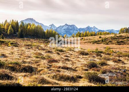 Valmalenco (IT) - antenna autunnale panoramica dall'Alpe Prabello Foto Stock