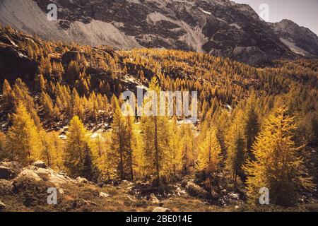 Valmalenco (IT) - antenna autunnale panoramica dall'Alpe Prabello Foto Stock