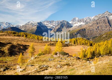 Valmalenco (IT) - antenna autunnale panoramica dall'Alpe Prabello Foto Stock