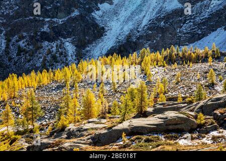 Valmalenco (IT) - antenna autunnale panoramica dall'Alpe Prabello Foto Stock