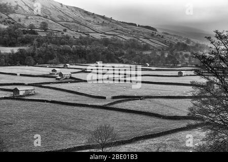 Gunnerside Bottoms in Swaledale, Yorkshire Dales National Park, North Yorkshire, Inghilterra, Regno Unito. Versione in bianco e nero Foto Stock