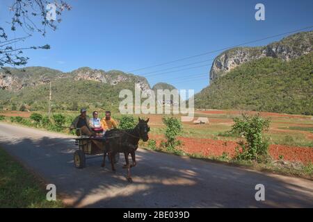 Carretto da cavalli, la principale forma di trasporto nella Valle di Viñales, Cuba Foto Stock