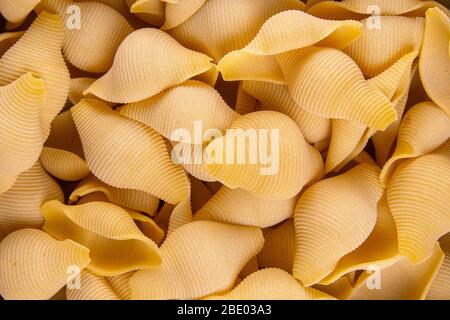 Primo piano di pasta italiana cruda - conchiglie Foto Stock