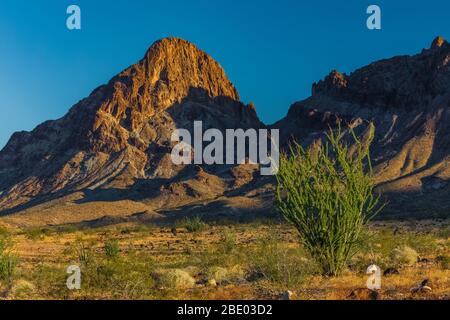Ocotillo e il Boundary Cone montagna lungo la storica Route 66 in Arizona, Stati Uniti Foto Stock