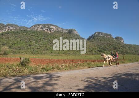 Carretto da cavalli, la principale forma di trasporto nella Valle di Viñales, Cuba Foto Stock