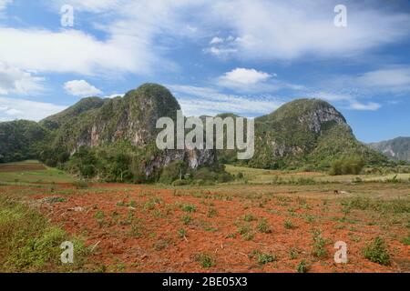 Bellissimo paesaggio di mogote nella Valle di Viñales, Cuba Foto Stock