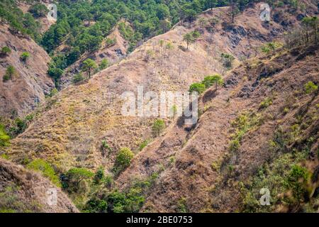 Alberi alle pendici delle montagne di Benguet, provincia di montagna, Filippine Foto Stock