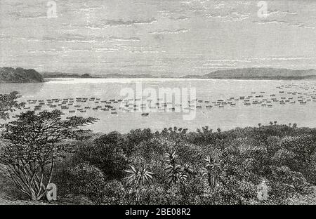 Canale Napoleonico (Lago Victoria). Foto Stock