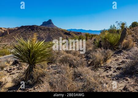 Paesaggio desertico, tra cui Thimble Mountain e yucca, lungo Gold Hill Grade lungo la storica Route 66 in Arizona, USA Foto Stock