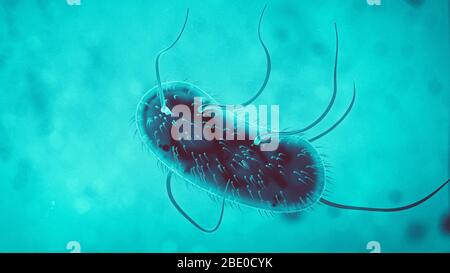 3d Escherichia Coli (E.. Coli.) cellule o batteri sotto microscopio. illustrazione 3d Foto Stock