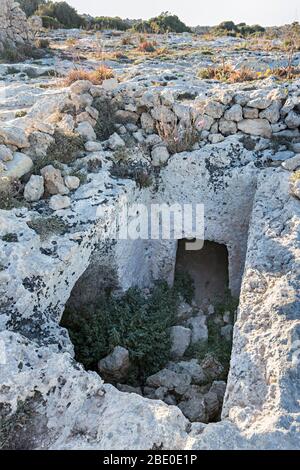 Roccia recisa albero e tomba camera a Misrah Ghar il-Kbir (Clapham Junction) vicino alle scogliere Dingli presso l'insediamento troglodita Foto Stock