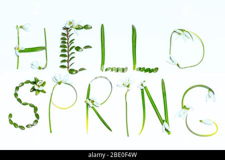Testo fatto da foglie verdi, hello Spring.Spring umore. Foto Stock