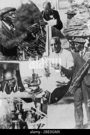 George Washington Carver (1864 - Gennaio 5, 1943) era un afro-americano di scienziato, botanico, educatore e inventore nato in schiavitù. Nel 1891 ha frequentato e studiato botanica alla Iowa State Agricultural College dove egli fu il primo studente nero e in seguito ha insegnato come il primo nero membro della facoltà. La sua reputazione si basa sulla sua ricerca e promozione di colture alternative per il cotone, come arachidi, semi di soia e patate dolci, che ha anche aiutato la nutrizione per le famiglie contadine. Egli ha voluto che gli agricoltori poveri di colture alternative sia come una fonte di cibo loro proprio e come fonte di altro prodotto Foto Stock