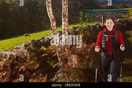 Escursionista femminile matura su sentiero nel Galles del Nord Foto Stock