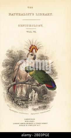 Titledpage con vignetta del cockatoo e del lovebird di Mitchell. Plyctolophus leadbeateri, Agapornis swinderianus. Incisione su copperplate a mano di William Lizars dopo un'illustrazione di James Stewart di Prideaux J. Selby, The Natural History of Parrots, nella Biblioteca Naturalista di Sir William Jardine: Ornitology, Lizars, Edimburgo, 1836. Foto Stock