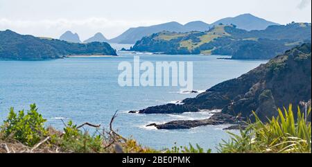 Passeggiata nel Bush di Moturua Island Vista della Baia delle Isole nuova Zelanda verso Capo Brett Foto Stock