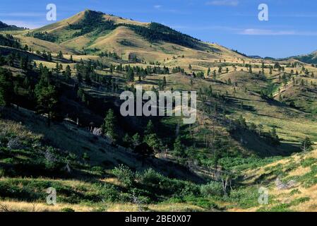 Cottonwood Creek drenaggio, Beartooth Wildlife Management Area, Montana Foto Stock