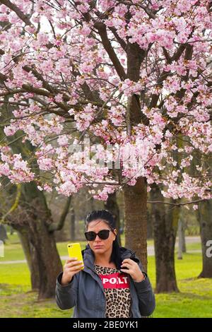 Riga, Lettonia. 10 aprile 2020. Una donna prende un selfie con fiori di ciliegi al Parco della Vittoria a riga, Lettonia, il 10 aprile 2020. Credit: Janis/Xinhua/Alamy Live News Foto Stock