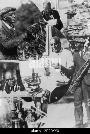 George Washington Carver (1864 - Gennaio 5, 1943) era un afro-americano di scienziato, botanico, educatore e inventore nato in schiavitù. Nel 1891 ha frequentato e studiato botanica alla Iowa State Agricultural College dove egli fu il primo studente nero e in seguito ha insegnato come il primo nero membro della facoltà. La sua reputazione si basa sulla sua ricerca e promozione di colture alternative per il cotone, come arachidi, semi di soia e patate dolci, che ha anche aiutato la nutrizione per le famiglie contadine. Egli ha voluto che gli agricoltori poveri di colture alternative sia come una fonte di cibo loro proprio e come fonte di altro prodotto Foto Stock