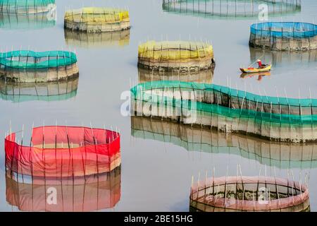 Una barca da pesca nel fangflat costiero con le reti di granchio circolari colorate Foto Stock