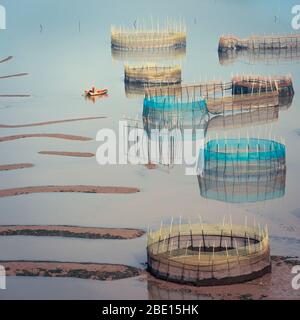 Una barca da pesca nel fangflat costiero con le reti di granchio circolari colorate Foto Stock