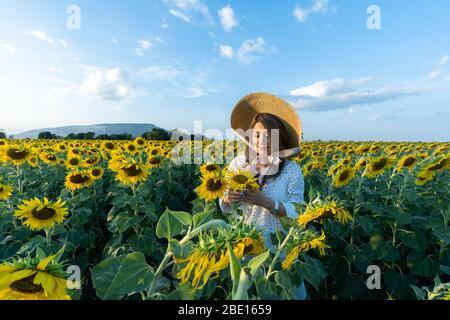 Una bella donna asiatica in un abito bianco e cappello a piedi su un campo di girasoli, sorridendo un bel sorriso, ragazza allegra, stile, stile di vita e sole Foto Stock