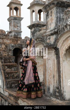 Bella ragazza del sud-est asiatico in sari/saree tradizionali indiani sullo sfondo del tempio. Foto Stock