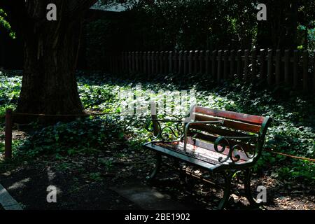 Paesaggio di una panca d'epoca in ferro e legno sul marciapiede nel parco Foto Stock