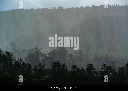 Pioggia sulle montagne della foresta. Misty montagna paesaggio colline al giorno delle piogge. Foto Stock