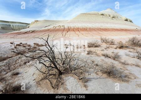 Bizzarre montagne di gesso, colorate formazioni rocciose di Boszhira in Kazakistancliff occidentale Foto Stock