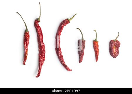 Secchi peperoncino rosso isolato su sfondo bianco. Foto Stock