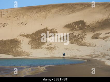 Uomo escursioni nelle dune di sabbia di Tottori, Giappone Foto Stock