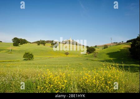 Italia, Basilicata, Sant'Arcangelo, campi di grano e monastero di Santa Maria di Orsoleo Foto Stock