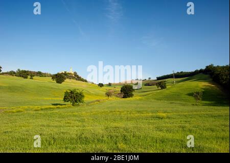 Italia, Basilicata, Sant'Arcangelo, campi di grano e monastero di Santa Maria di Orsoleo Foto Stock