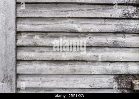 Dettaglio della parete in legno con pannelli grigi sbiaditi, girato in luminosa luce di primavera ad Okarito, Nuova Zelanda Foto Stock