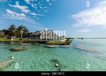 padiglione con tetto di paglia a laguna di bacalar Foto Stock