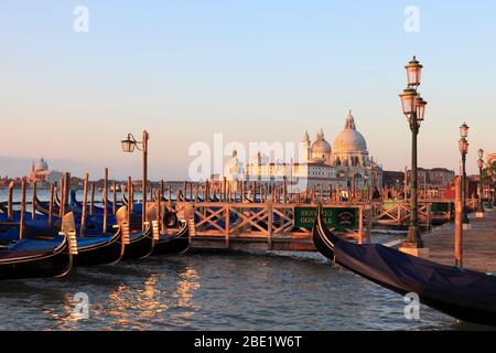 I-Venedig: Gondeln vor der Piazzetta dahinter die Basilca di S. Maria della Salute Foto Stock